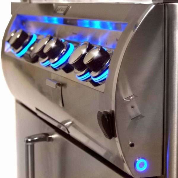 Fire Magic Echelon Diamond E660i Propane Gas Grill