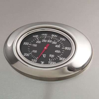 American Outdoor Grill 30-Inch 3-Burner Gas Grill - Built-In Temperature Gauge
