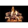 Real Fyre Split Oak Designer Plus