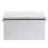 Trueflame 28-Inch Drop In Ice Bin Cooler