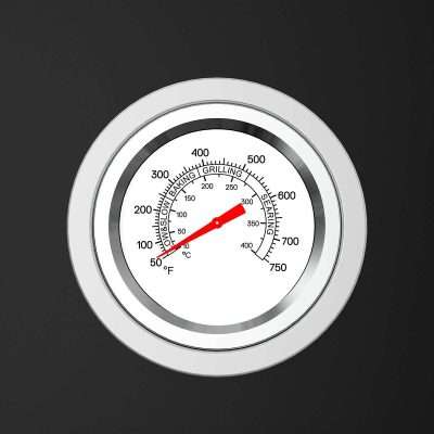 Everdure K1 Kamado Charcoal Grill THermometer