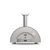Alfa Classico 2 Pizze Countertop Wood-Fired Pizza Oven