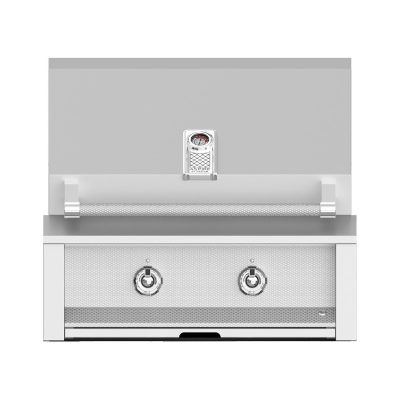 Hestan Aspire 30" Built-In Gas Grill - ExBR30-x